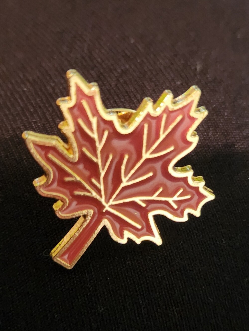 🎉 Fall Leaf Enamel Pin